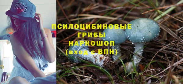 первитин Тавда