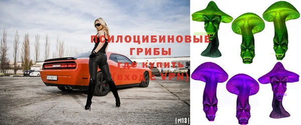 прущая мука Тайга